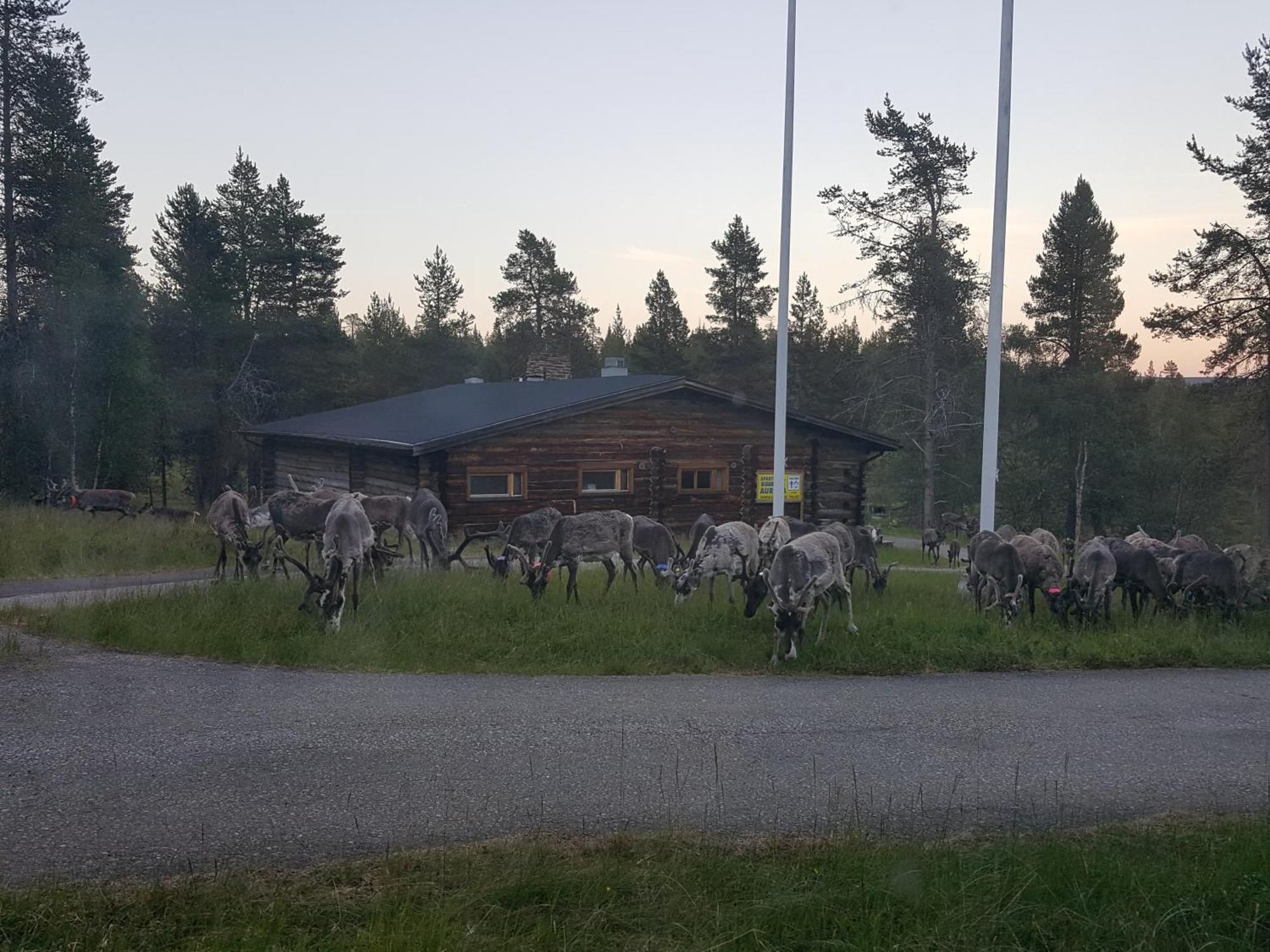 Kuukkeli Log Houses Aurora Resort Saariselka Dış mekan fotoğraf